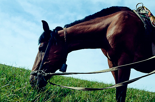 两年前在灵山的随拍（图ZNTU4NjUwNjA=） - 风光摄影 - 站酷设计师琍囡原创素材 - 站酷ZCOOL