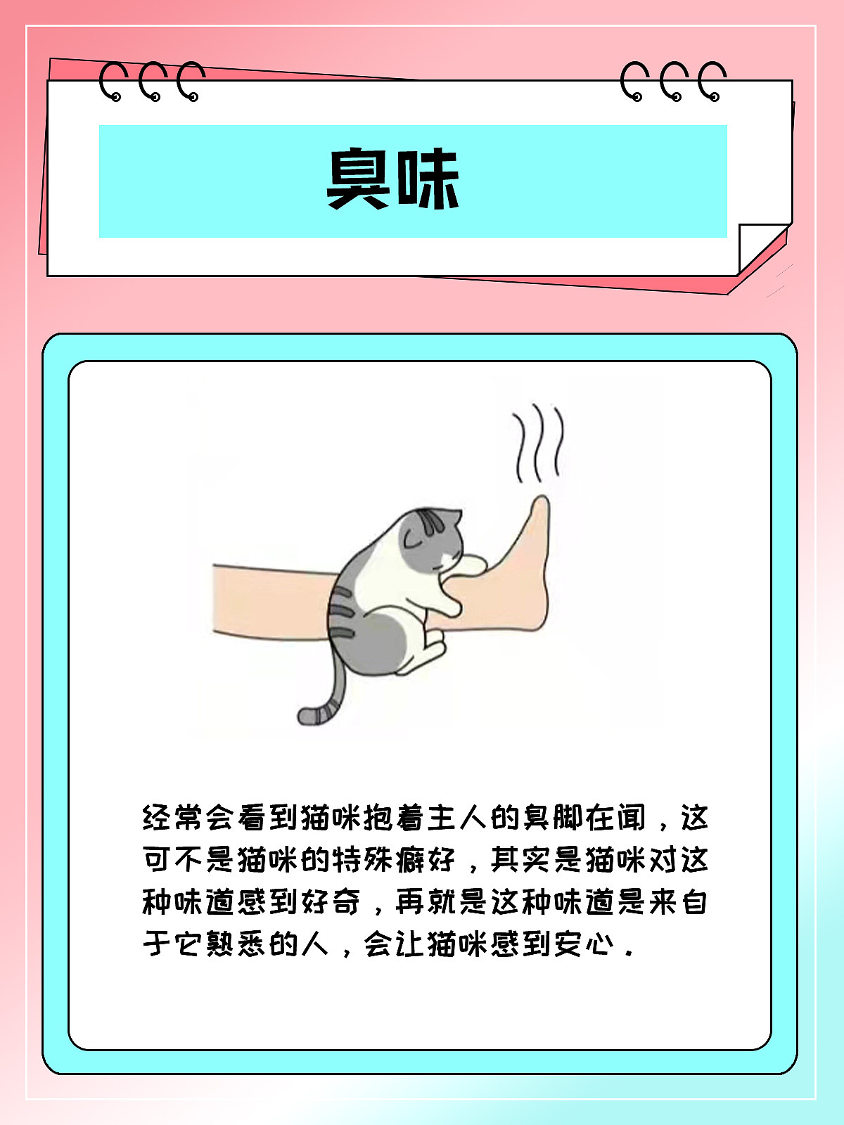 小红书知识分享设计（图ZMjkxMjk2Njg4） - 其他平面 - 站酷设计师suoxiakuon原创素材 - 站酷ZCOOL