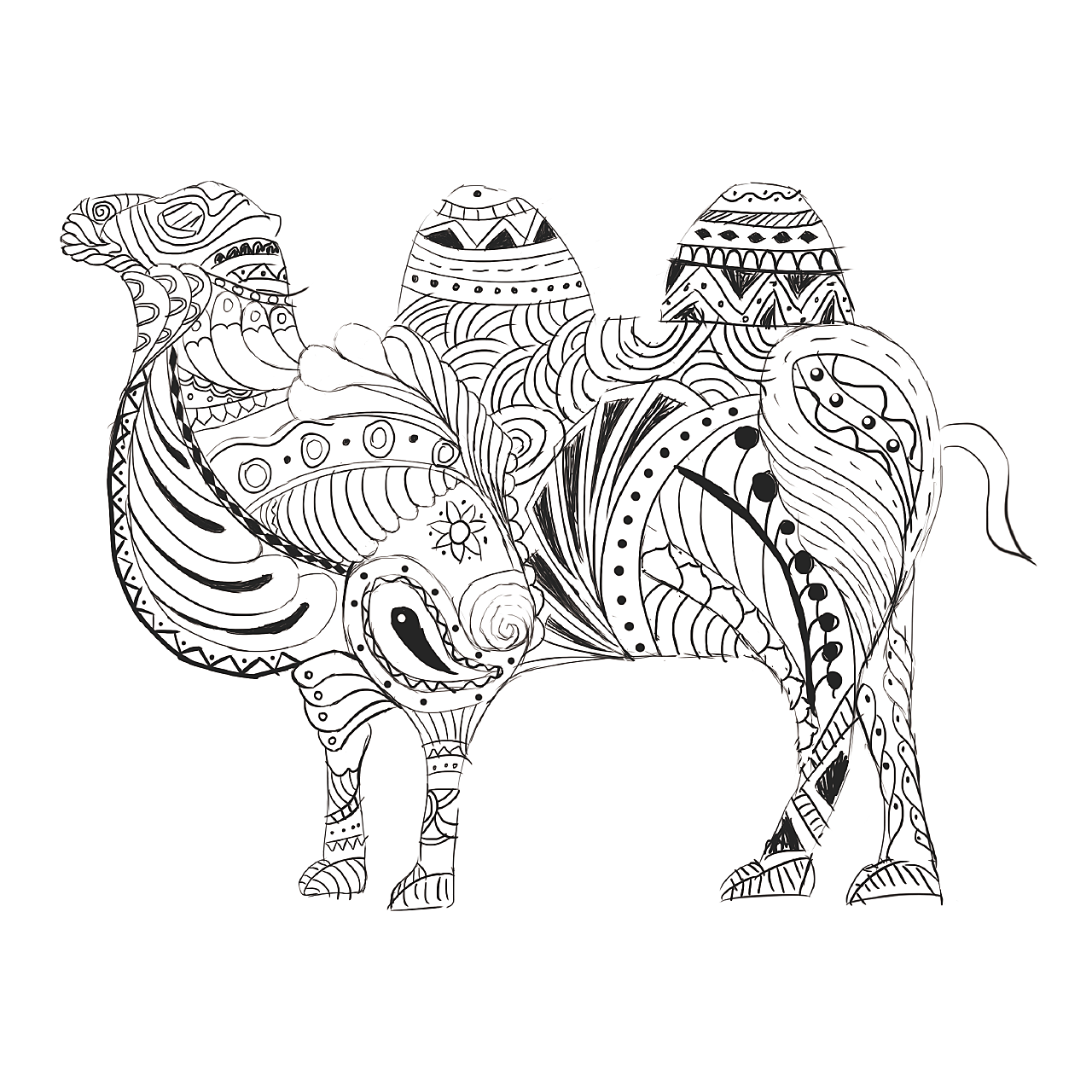 骑骆驼 埃及 西奈 沙漠 骆驼 贝都因人图片下载 - 觅知网