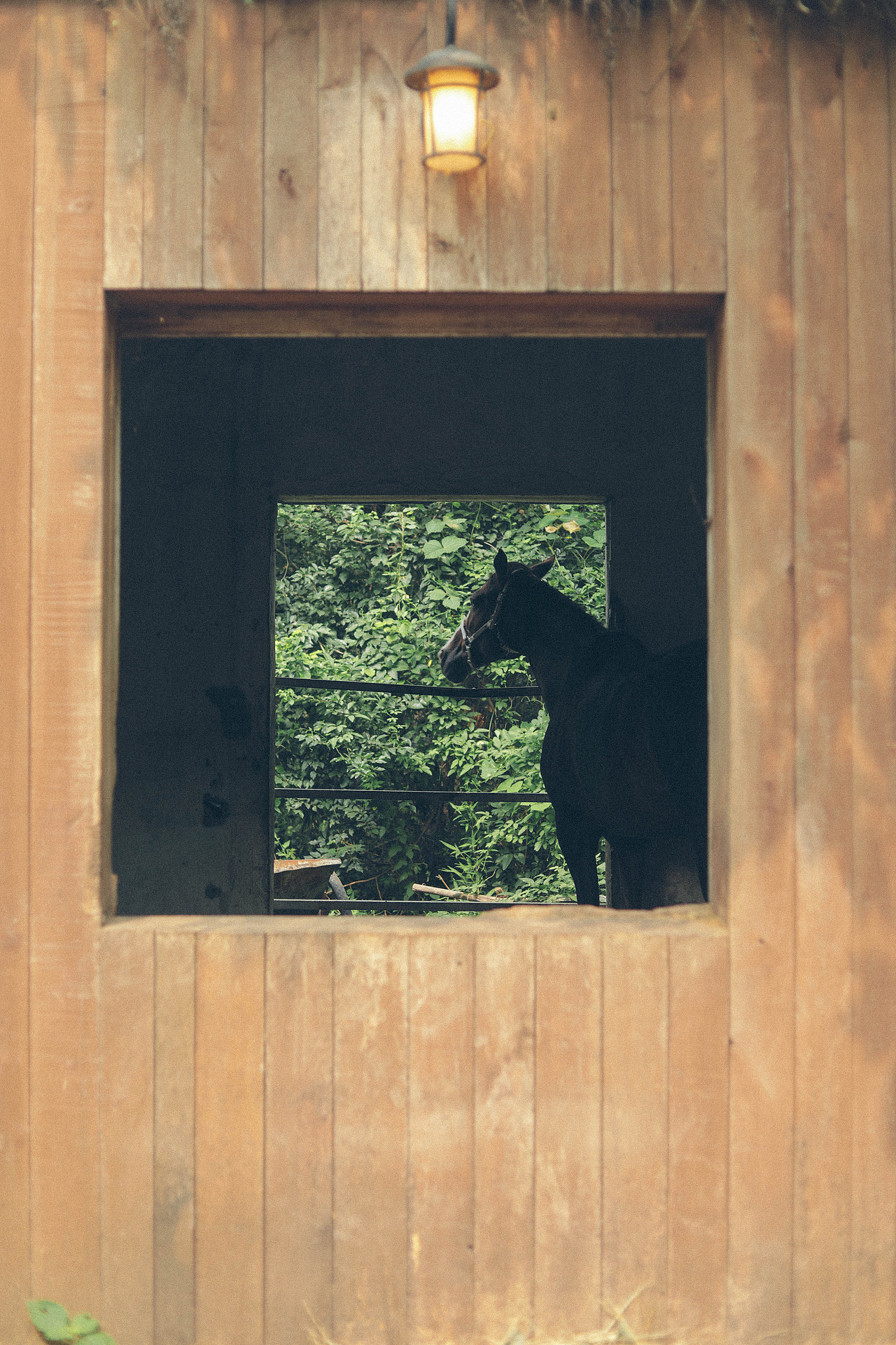 Summer Vibe（图ZMzQzMTg5NTUy） - 人文/纪实摄影 - 站酷设计师木里MULI原创素材 - 站酷ZCOOL