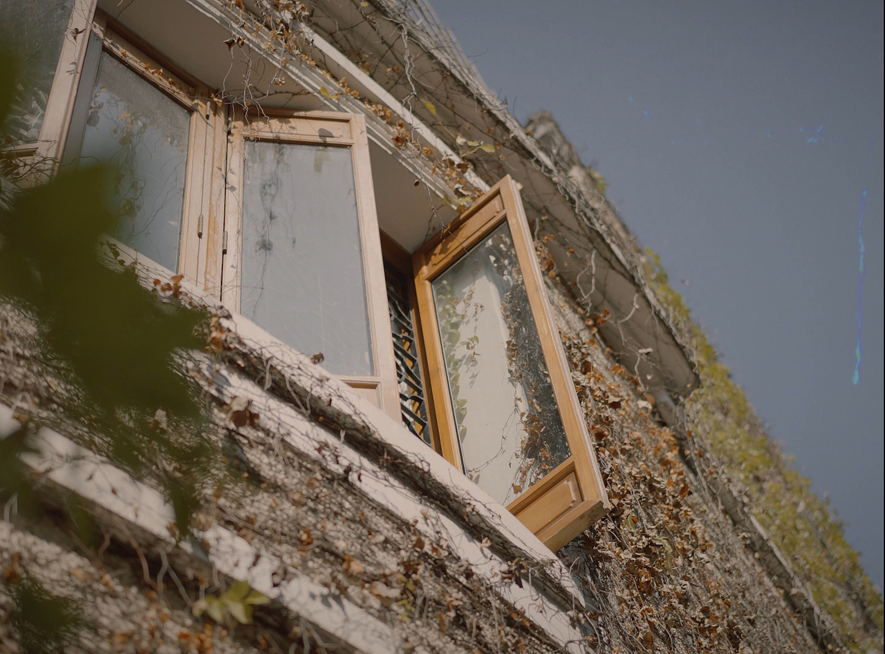 游曳色彩 · 倾仰微光