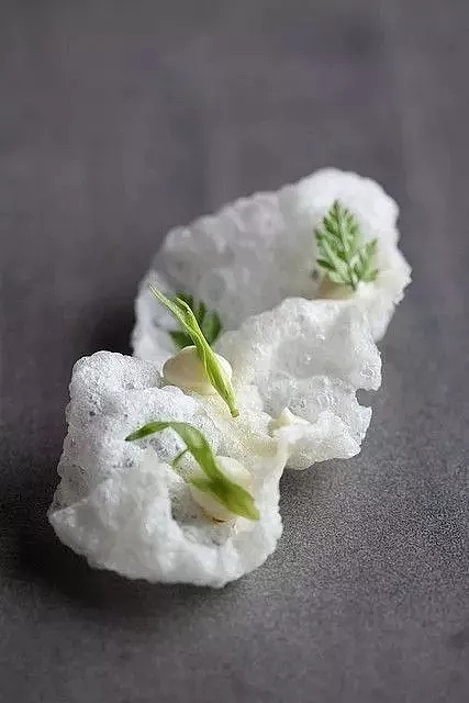 米其林摆盘分享