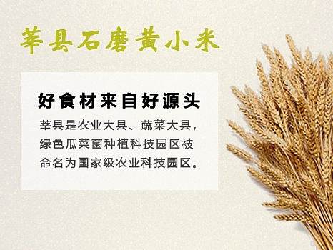 小米详情页（个人主页-ZMjc1NDYwMDg=） - 其他平面 - 站酷设计师Eddiena原创素材 - 站酷ZCOOL