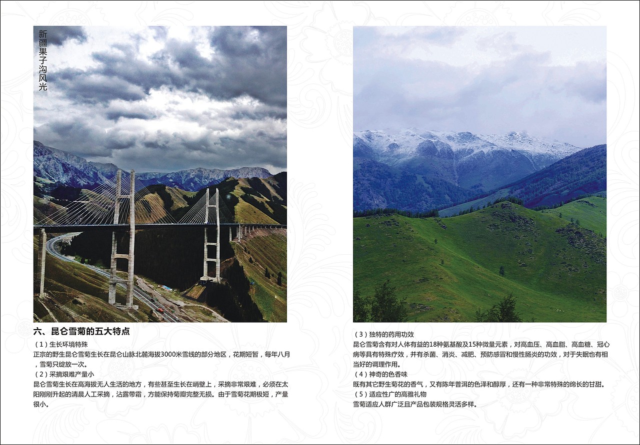 淘宝宣传小手册（图ZMjA0MjY3ODA=） - 电商 - 站酷设计师七玥pancy原创素材 - 站酷ZCOOL
