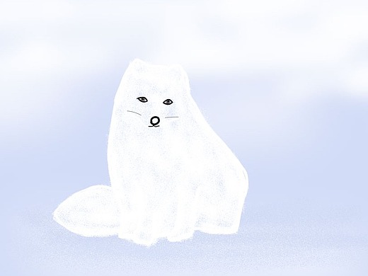 狐狸 雪_素材网站_图片免费下载-zcool站酷