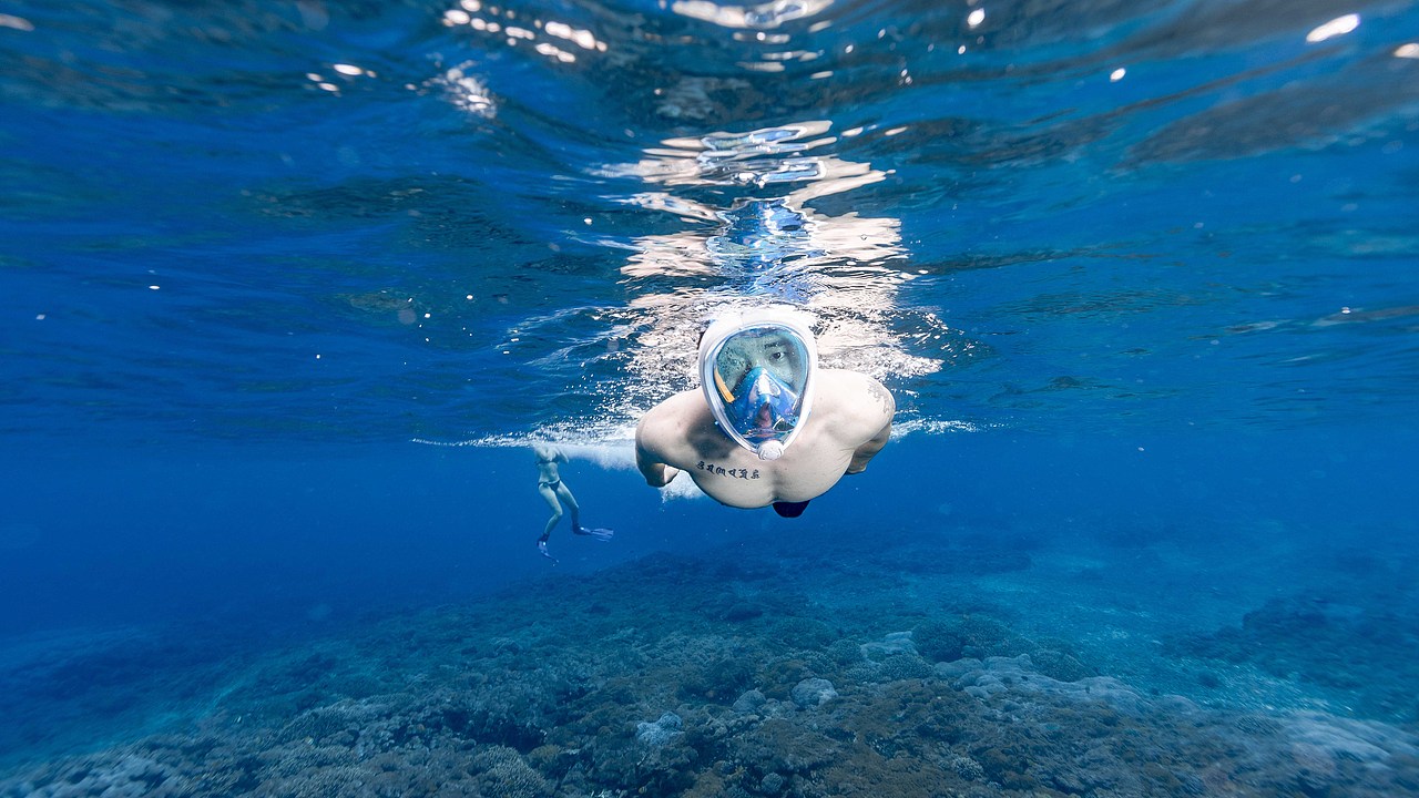 巴厘岛潜水面罩水下视频