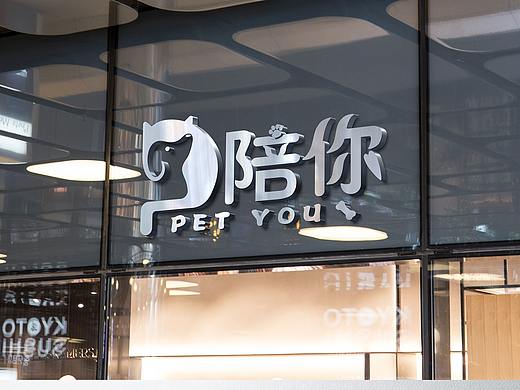 陪你宠物logo及画册
