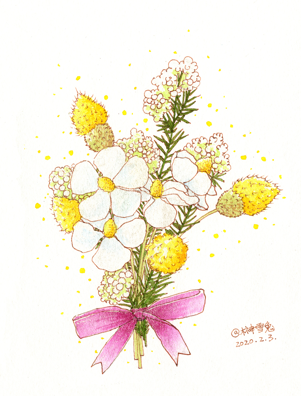 钢笔淡彩|【白罗兰花束】原创