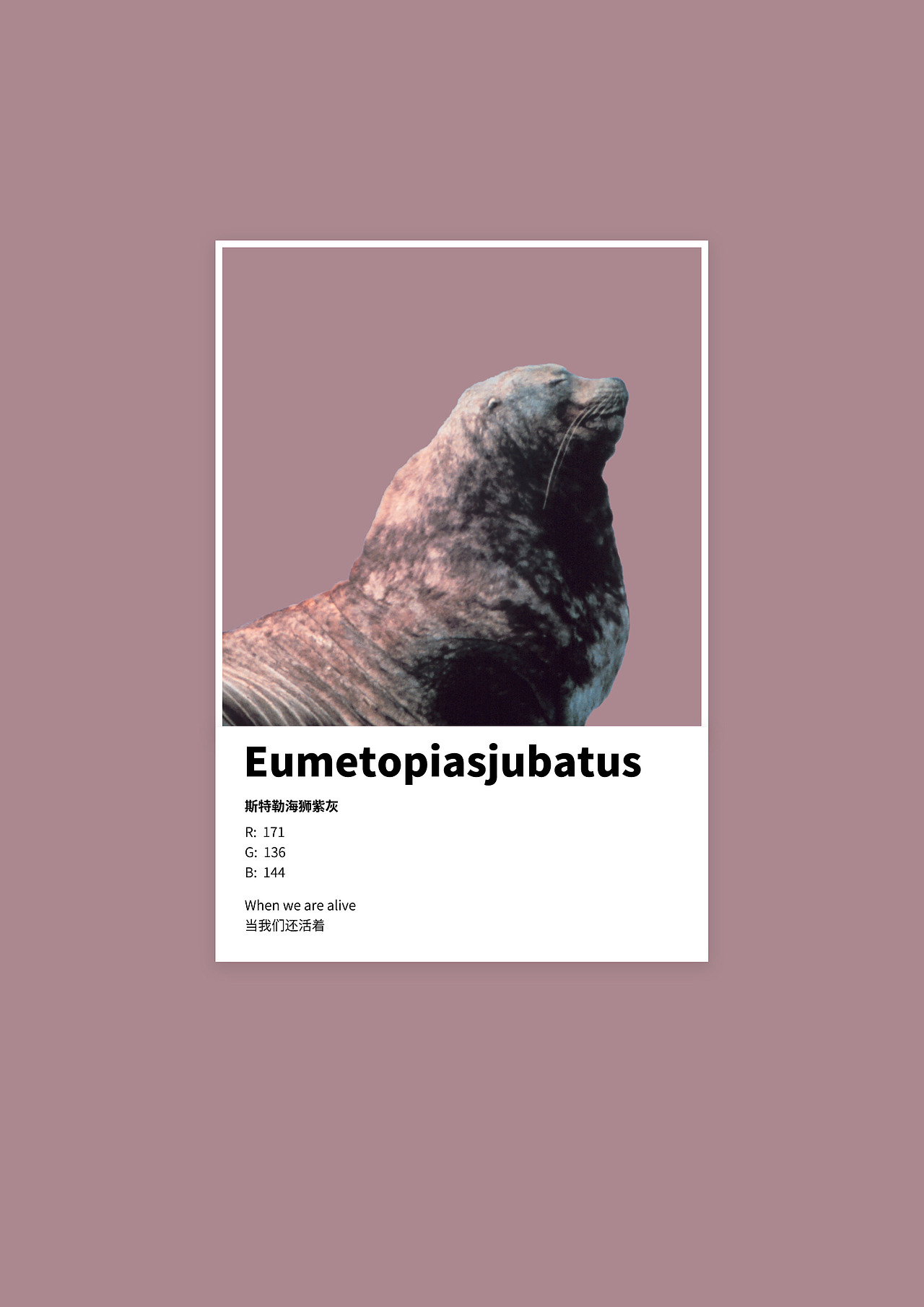 #地球守卫者#海洋色卡 x 环保海报（图ZMjc4Mzk3MjAw） - 海报 - 站酷设计师东风不识相原创素材 - 站酷ZCOOL