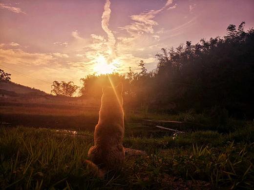 乡村是永远的乡村，而我记住了那片云。