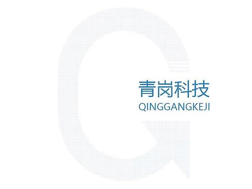政府宣传册