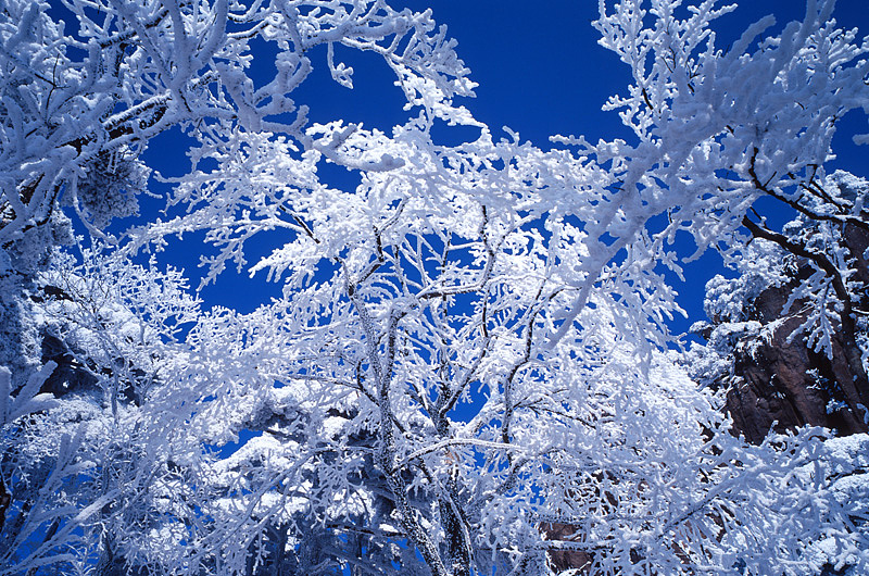 黄山徽州各时期胶片摄影