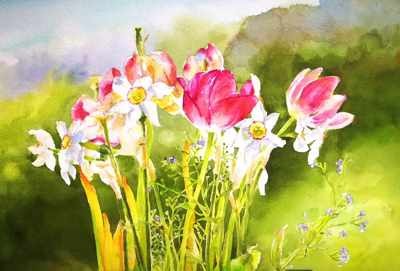 水彩水仙郁金香