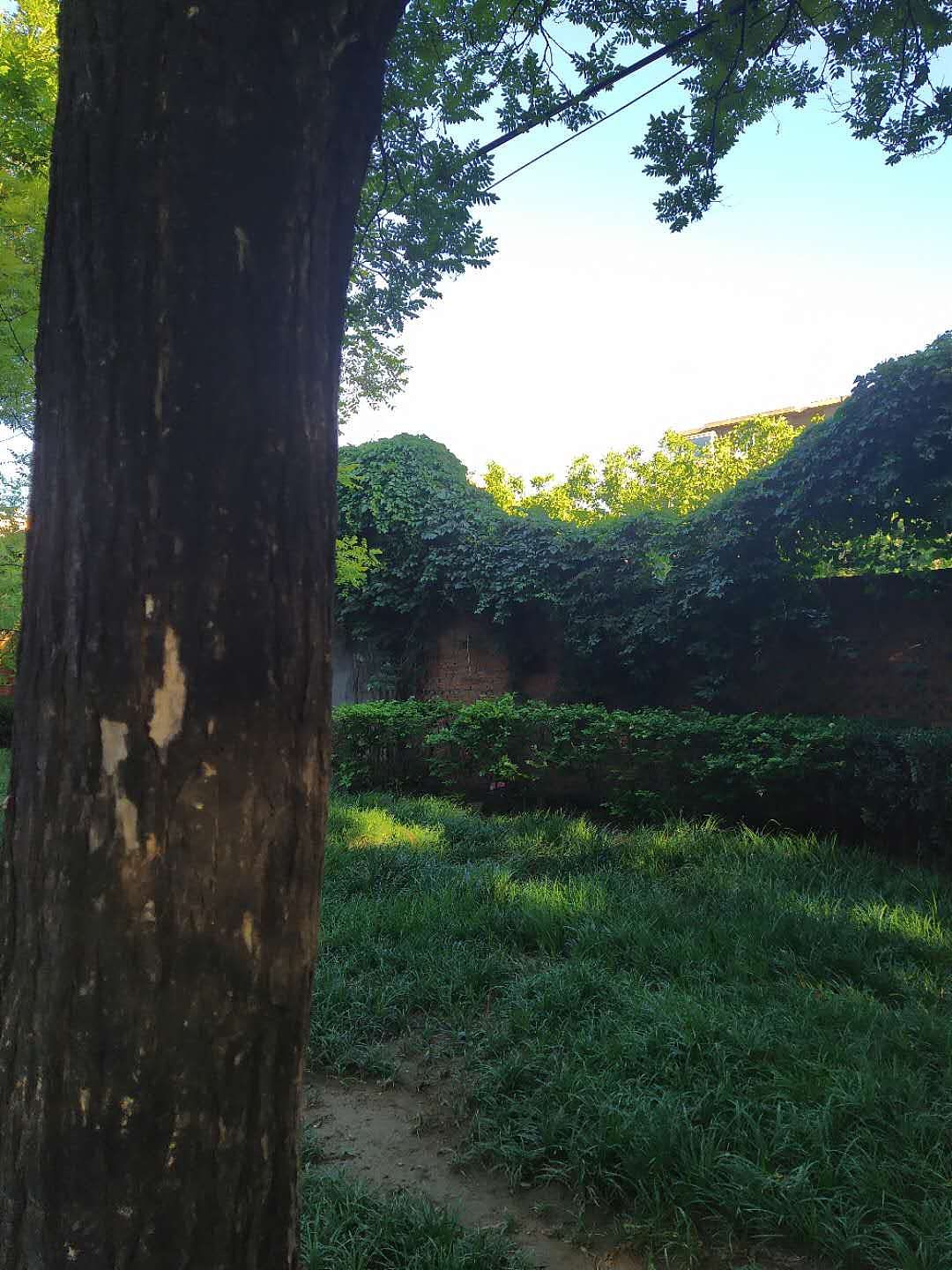 家门口的光与影