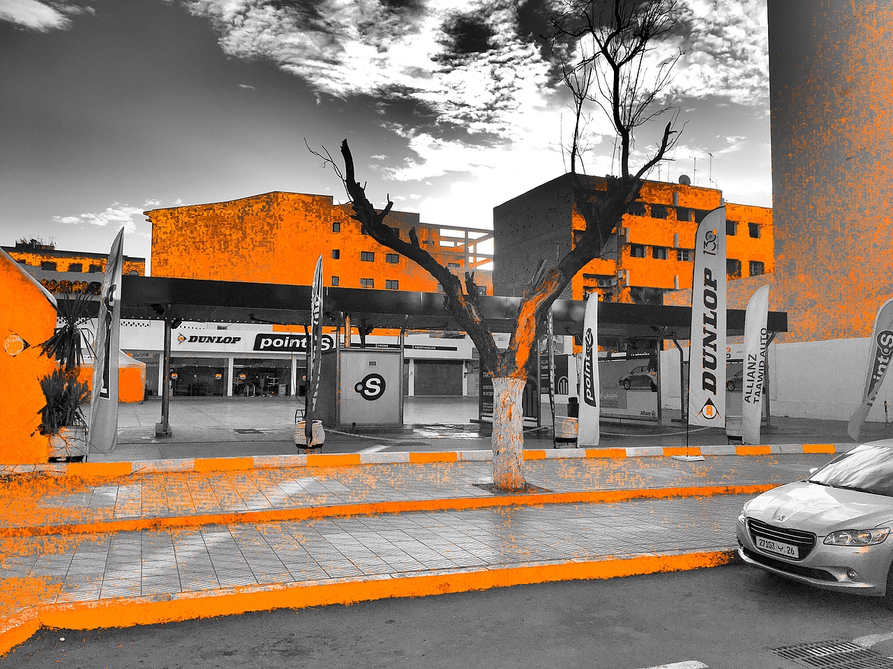 单色调眼球artist