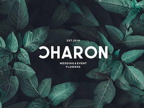 GoodMoney studio | CHARON 平行距离