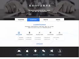 企業(yè)官網(wǎng)