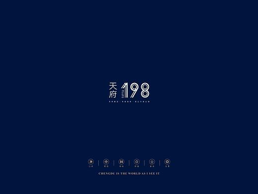 天府198地产提案