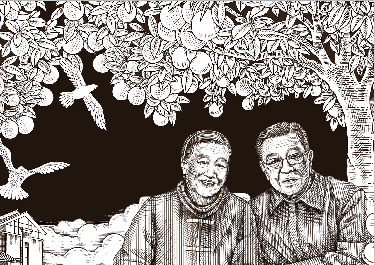 褚橙庄园黑白插画创作