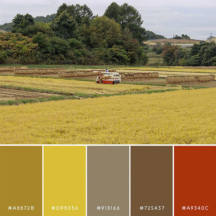 大自然的颜色搭配，转需收藏！（图ZMTkyMDQwODEy） - 其他平面 - 站酷设计师学设计上兔课网原创素材 - 站酷ZCOOL