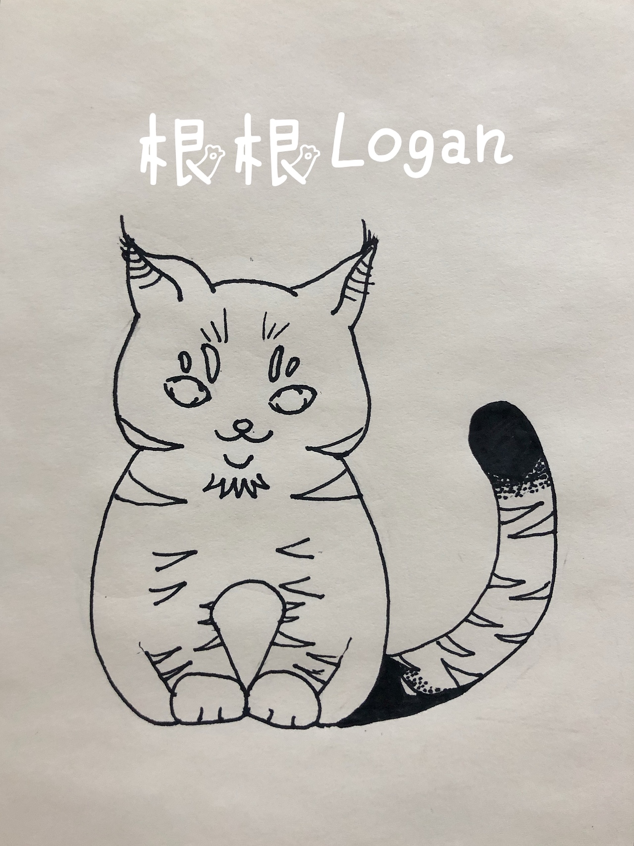 家里两只噬元兽（图ZMTk1Mjk1MTg0） - 创作习作 - 站酷设计师Audra原创素材 - 站酷ZCOOL