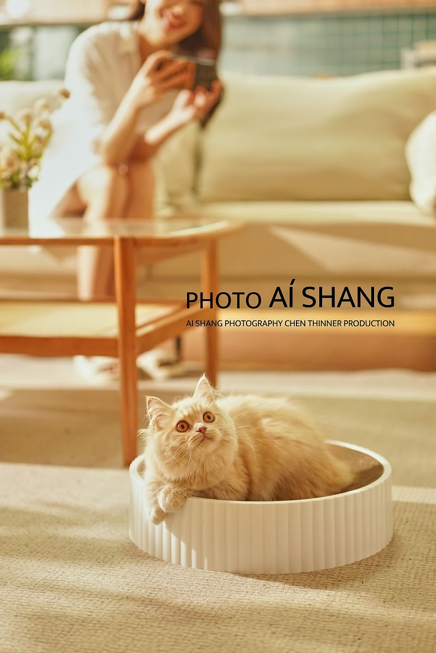 猫抓板（图ZMzUwODMzMDg0） - 产品摄影 - 站酷设计师AISHANG05原创素材 - 站酷ZCOOL