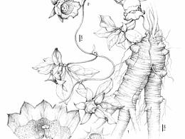 花卉