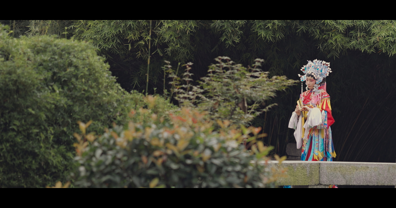 鬓边不是海棠红 | 人生犹如戏中人 你方唱罢我登场