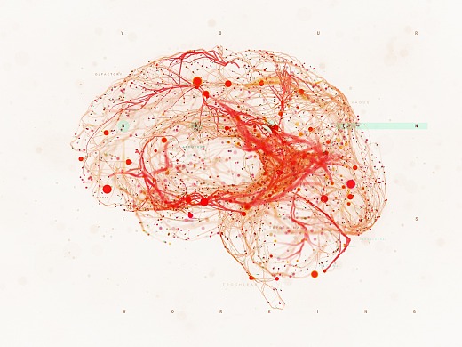 Network    |   神经网络