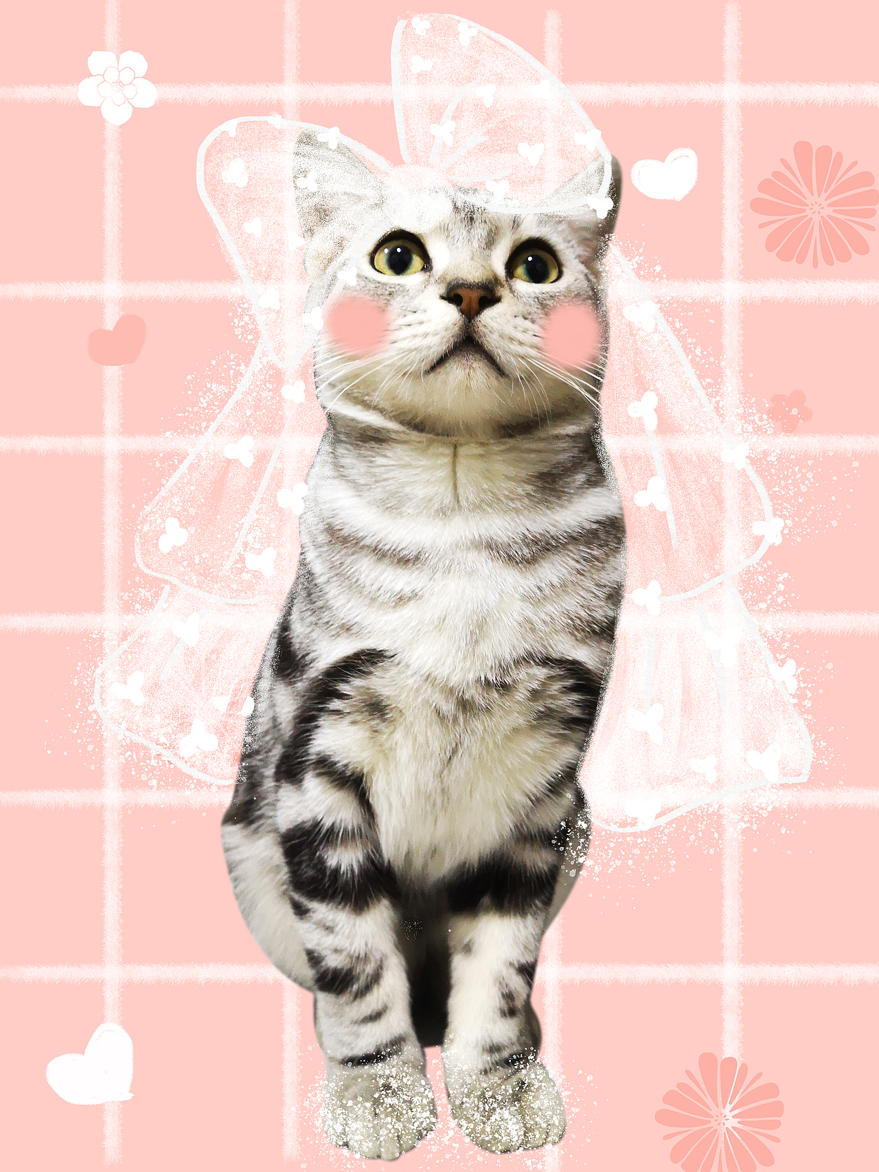 猫咪（图ZMjM3ODY3NTEy） - 海报 - 站酷设计师MAOMAOQ原创素材 - 站酷ZCOOL