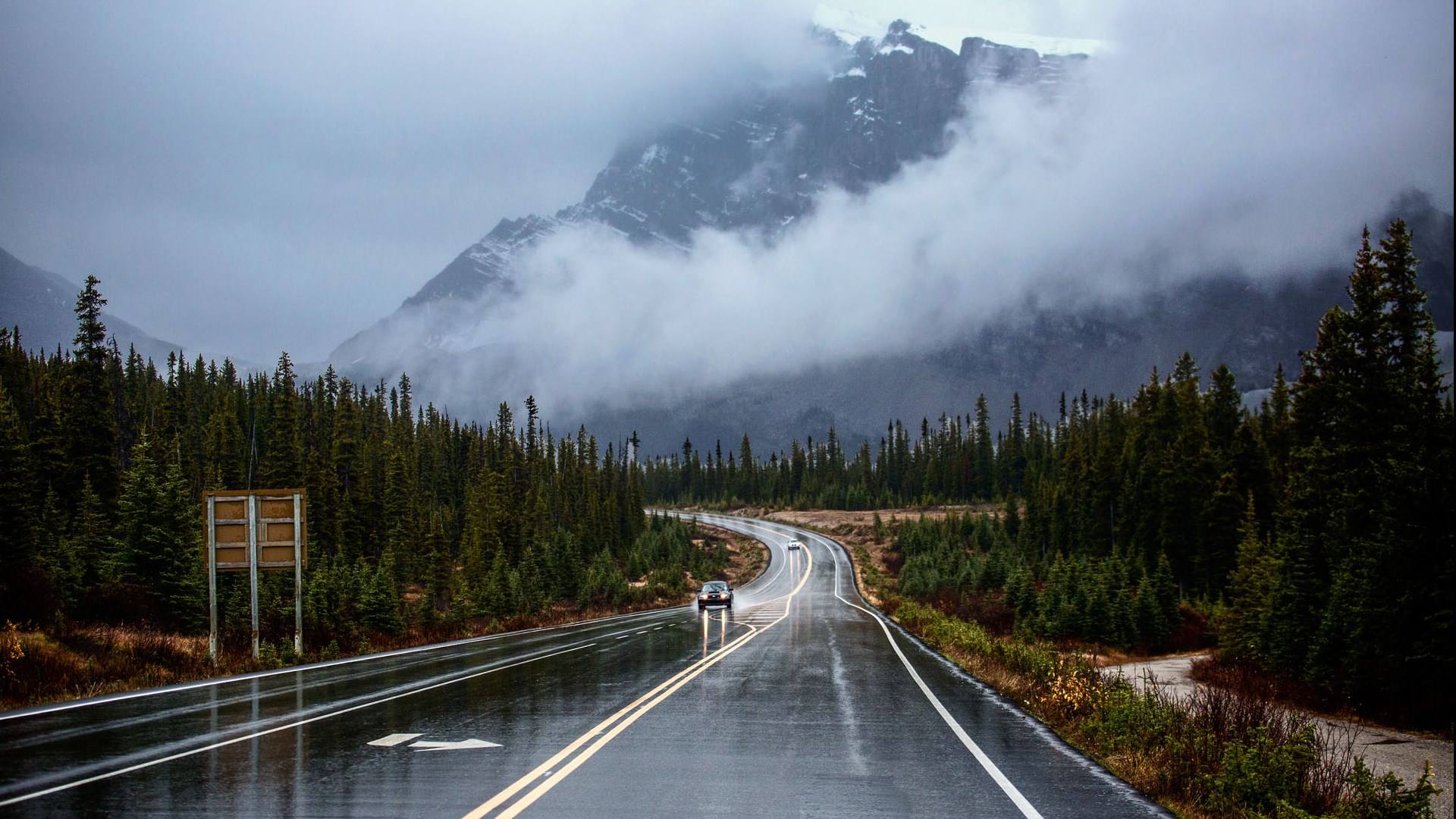 李白狗的个人主页（背景预览） - 主页背景设置 - 站酷设计师李白狗原创素材 - 站酷ZCOOL