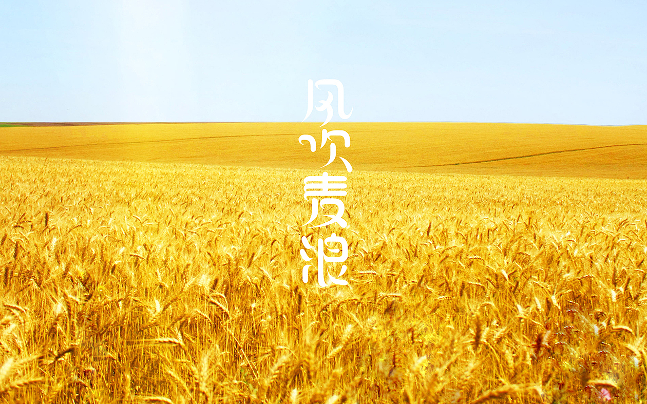 孙华勇字体设计