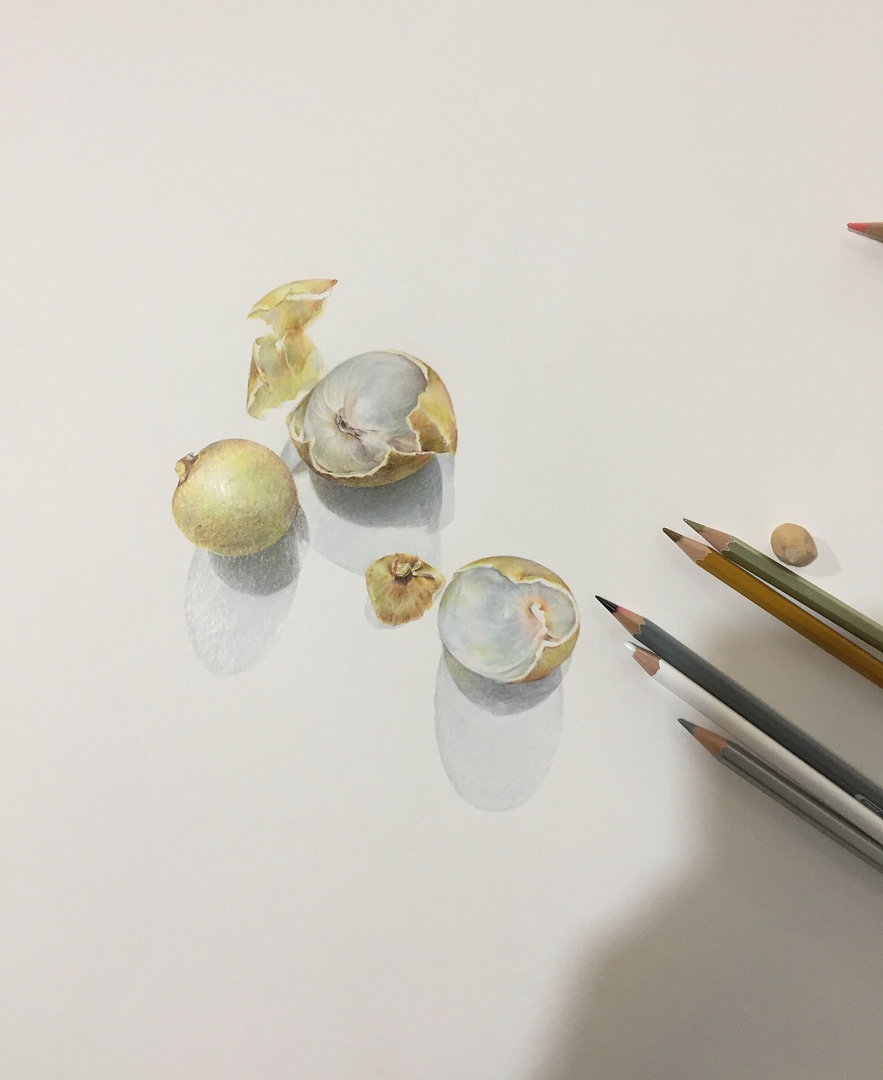 纸本彩铅作品--《龙眼》