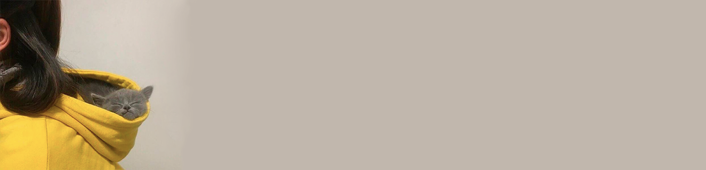 RealKiwi的個(gè)人主頁(yè)（封面預(yù)覽） - 主頁(yè)封面設(shè)置 - 站酷設(shè)計(jì)師RealKiwi原創(chuàng)素材 - 站酷ZCOOL