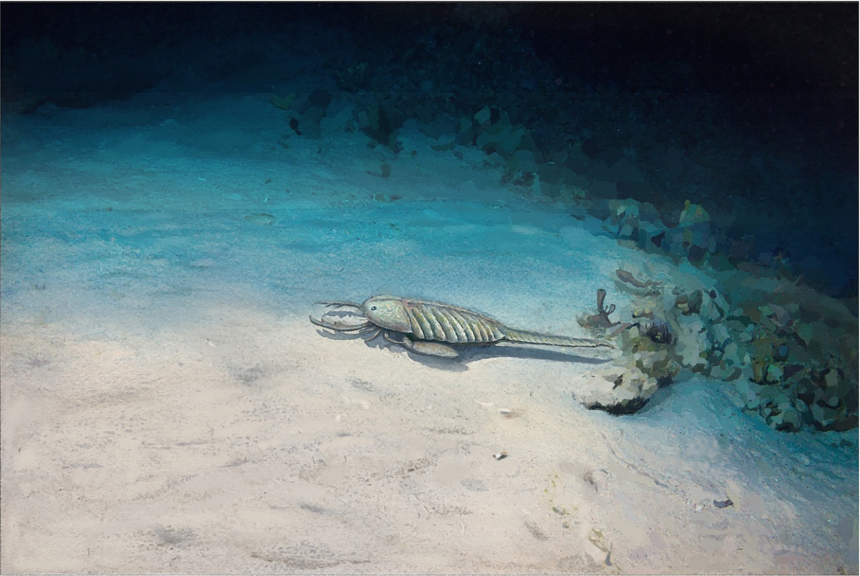 恐龙时代之前的古生代(约5.45亿—2.48亿年前)复原图