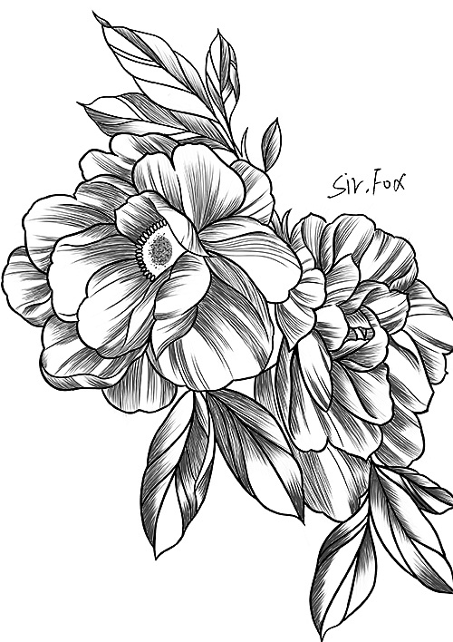 白描|插画|创作习作|画渣狐狸先生 - 临摹作品 - 站酷 (zcool)