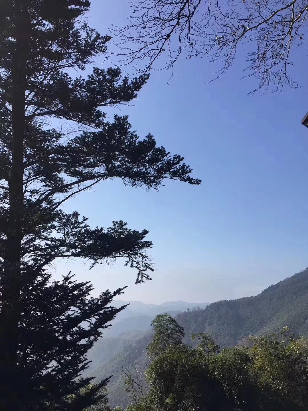 可以让人忘记世间所有的不美好