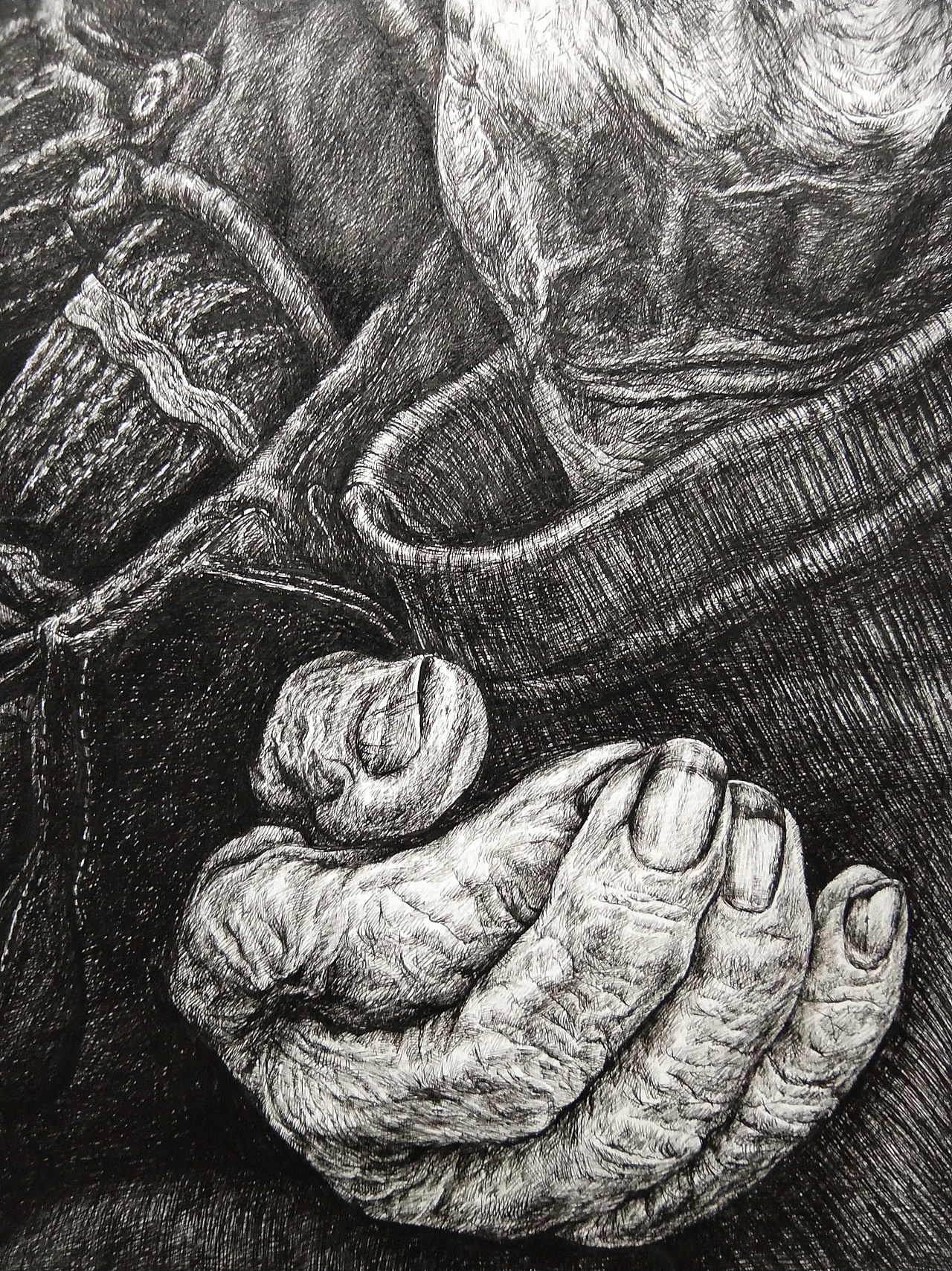 钢笔画，素描，写实人物，藏族，岁月（图ZMTQ4ODk2MjEy） - 商业插画 - 站酷设计师喜果文化原创素材 - 站酷ZCOOL