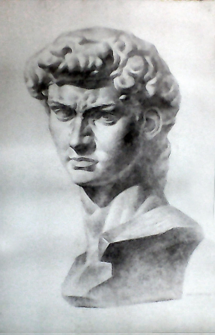 《大卫头像》,铅笔素描,头像有2米多高,画在全开纸上,也是在晚上画的