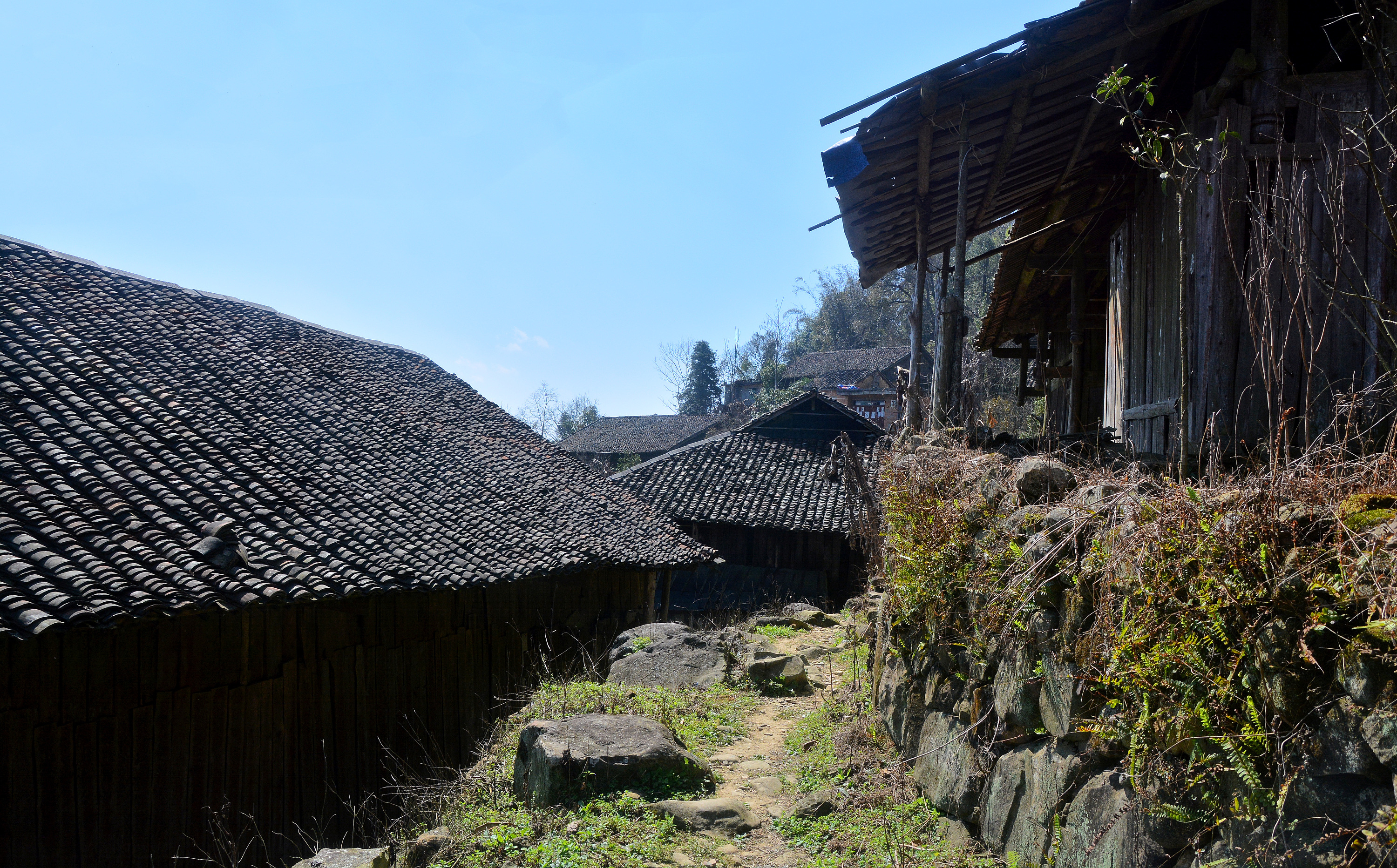 一座被遗忘的小村庄