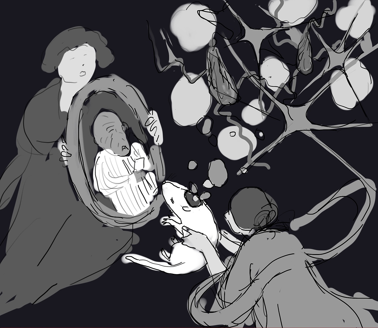 清华鲁白团队发表在《细胞研究》的论文插图