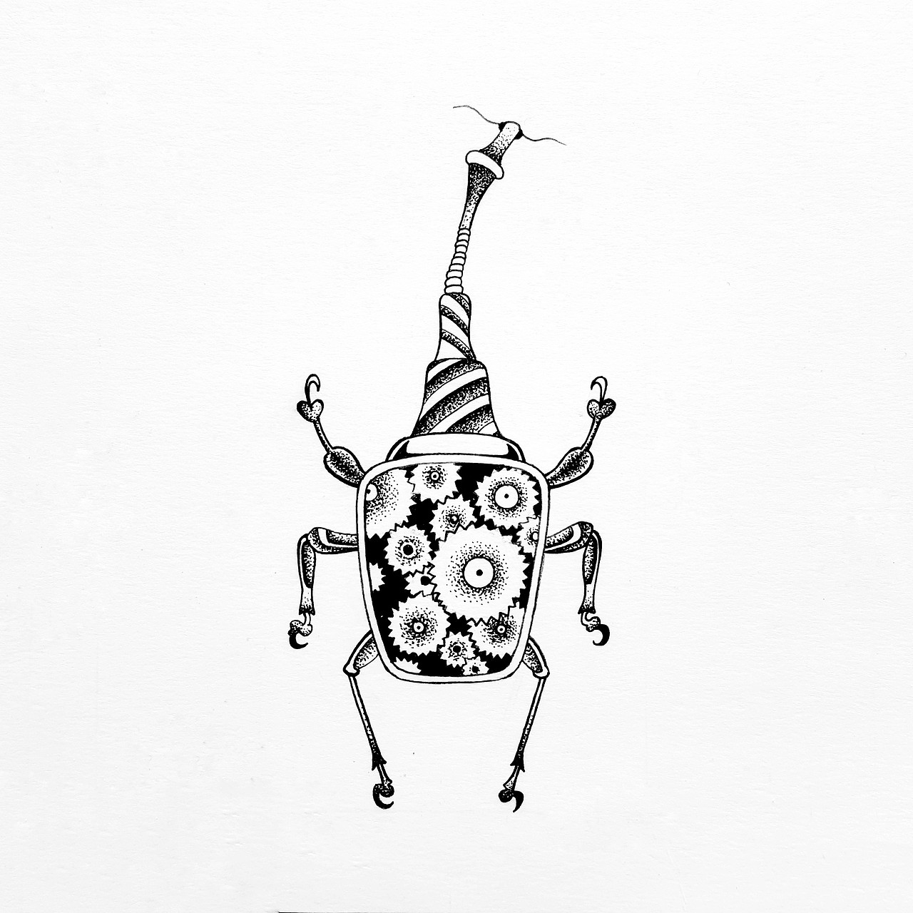 手绘甲虫