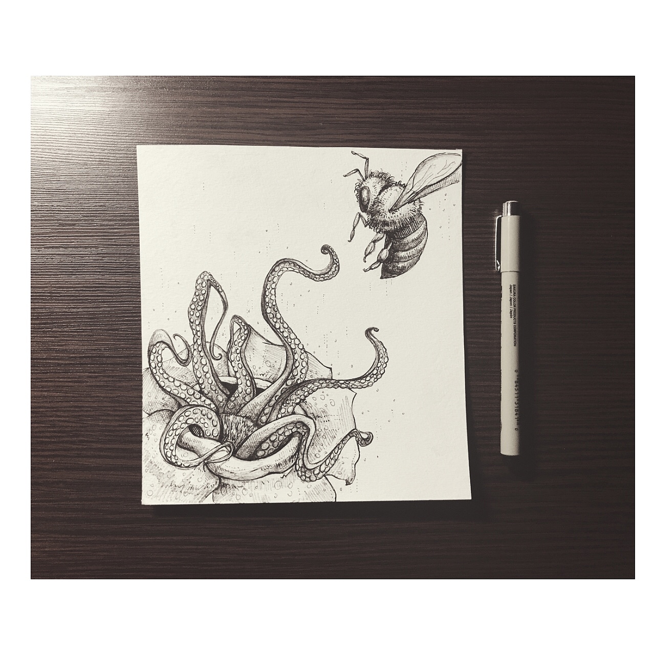 黑白植物（图ZOTI2NDgzNzI=） - 创作习作 - 站酷设计师find_instrument原创素材 - 站酷ZCOOL