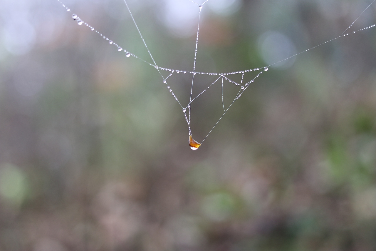 我拍的一些未经修饰的图