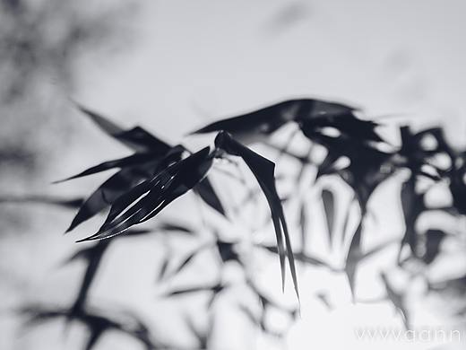 墨語（個人主頁-ZMzYxNTQxNjg=） - 人文/紀實攝影 - 站酷設(shè)計師vvvvaann原創(chuàng)素材 - 站酷ZCOOL