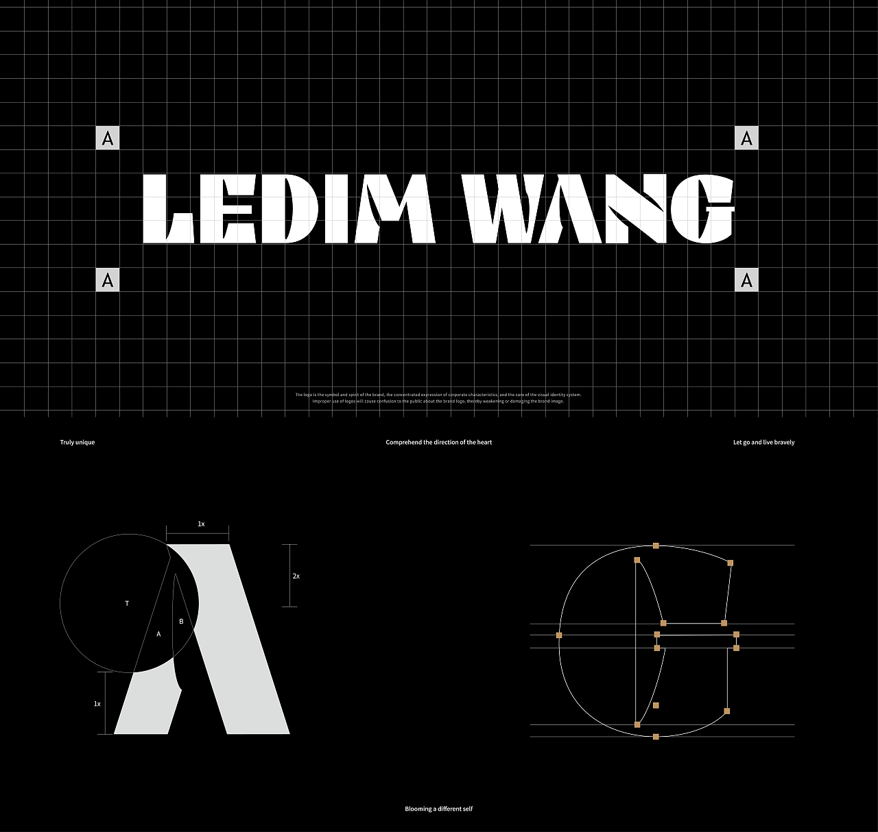 LEDIM WANG