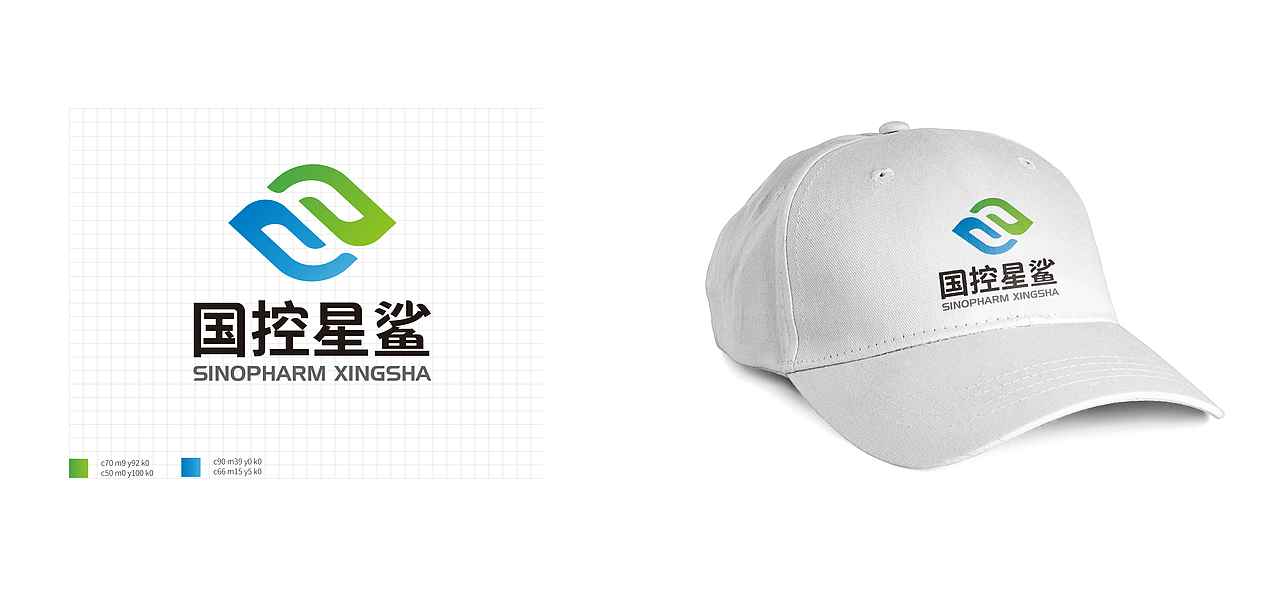 国控星鲨LOGO设计