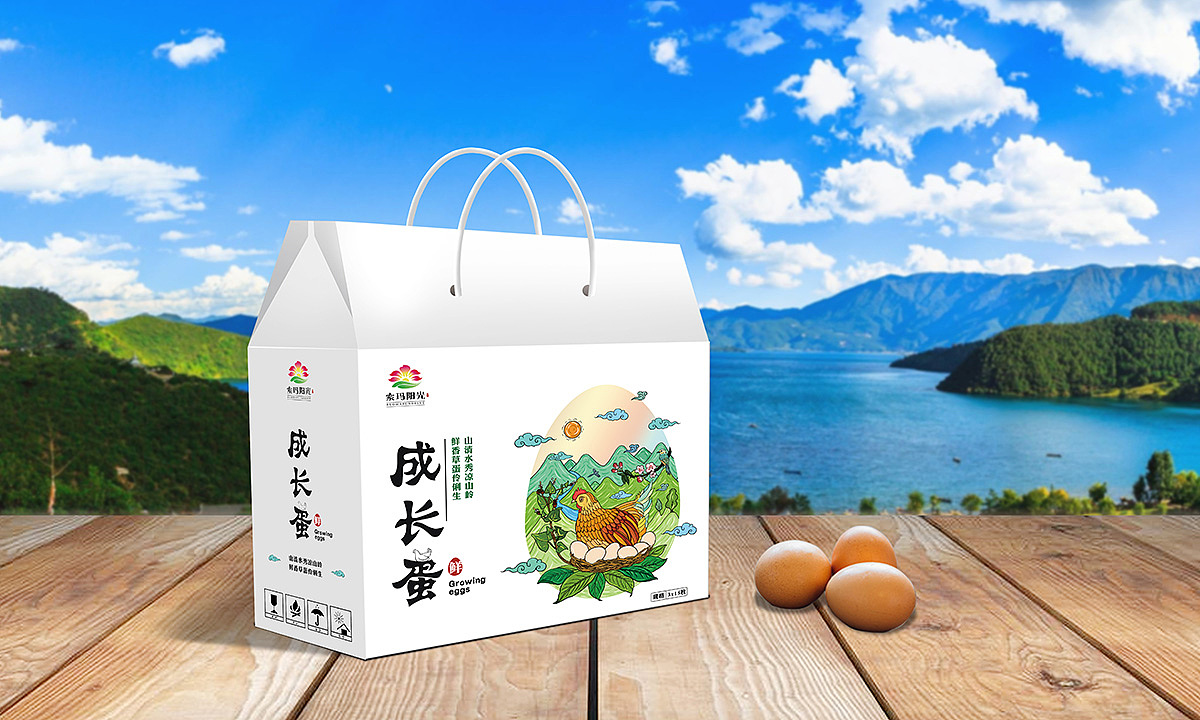 鸡蛋包装设计,土鸡蛋包装,特产包装设计插画鸡蛋包装