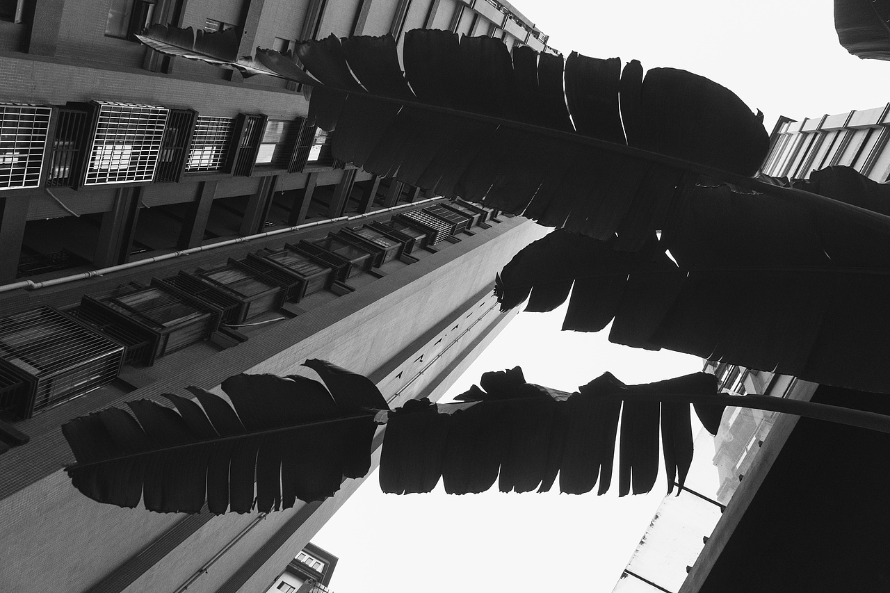 个人三月扫街合集（图ZMjQ5Mzk1NTA4） - 人文/纪实摄影 - 站酷设计师想念与挂念原创素材 - 站酷ZCOOL