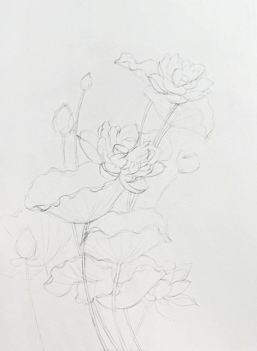 荷花（图ZMzUwNjE5NTAw） - 绘本 - 站酷设计师等风来8868原创素材 - 站酷ZCOOL